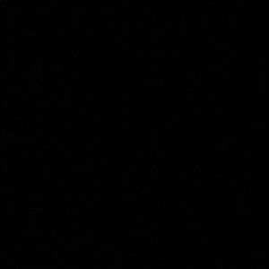 Meet your Posher, Isis